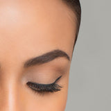 Lily Lolo Eye Brow Duo